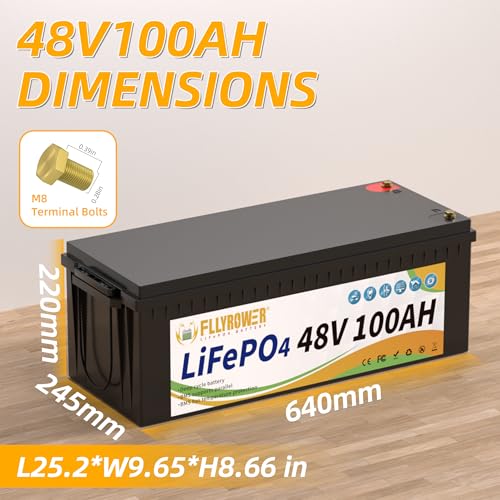 FLLYROWER 12V 100Ah LiFePO4 Battery with BMS for Marine RV Solar I833