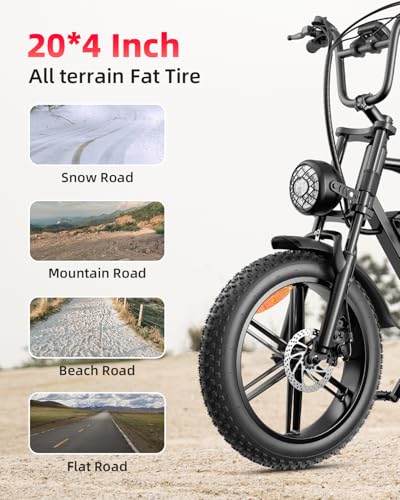 V9-G60 Peak 1500W Ebike 48V 20Ah Removable Battery 20" Fat Tire Electric Bike L66806