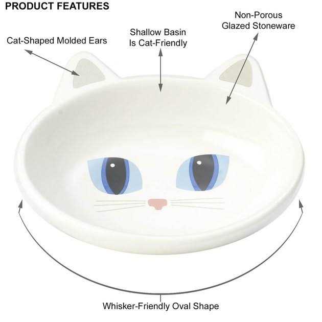 Petrageous Frisky Kitty Oval Saucer P494612