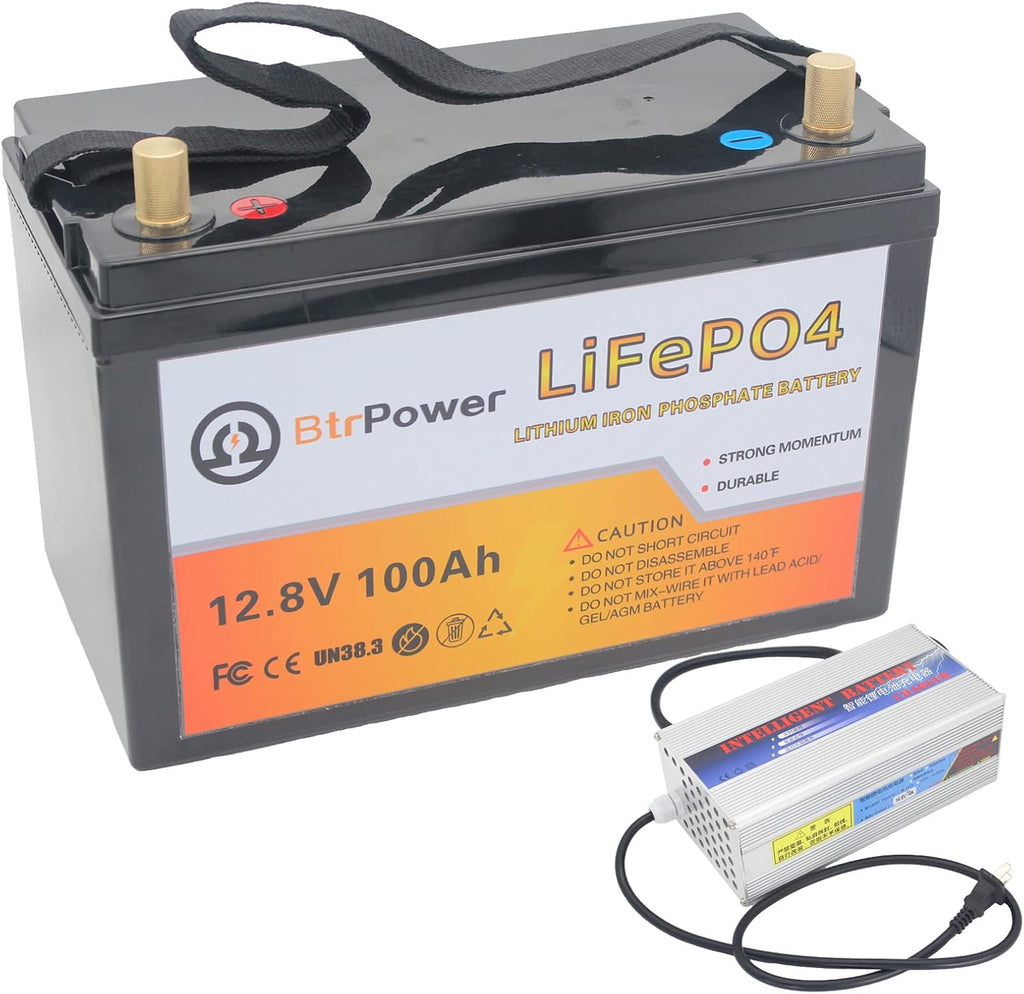 12V 100Ah LiFePO4 Lithium Battery with Built-in 100A BMS F19897
