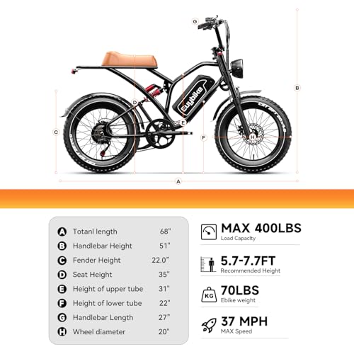 Electric Bike for Adults, 2000W Motor, 48V 25AH Battery, 20" Fat Tires S65549