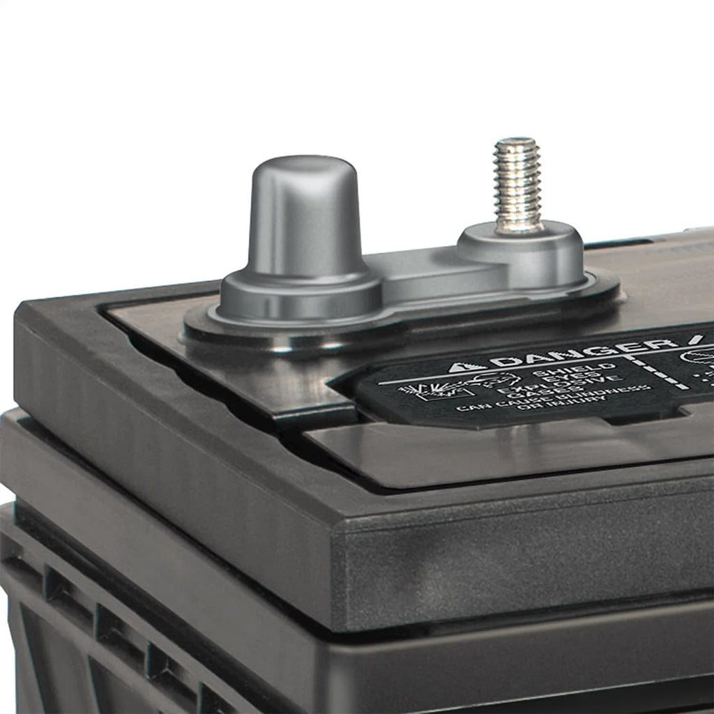 EverStart Maxx Marine Battery Group Size 29DC 12V 845 CCA Q273