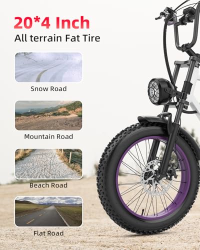 V9-G60 Peak 1500W Ebike 48V 20Ah Removable Battery 20" Fat Tire Electric Bike L66806