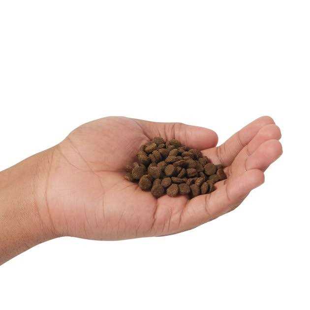 Farmina N&D Prime Grain Free Cat Food Lamb & Blueberry F1359