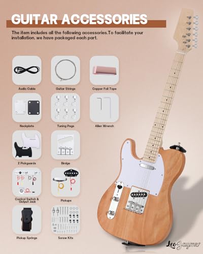 Leo Jaymz DIY Single Cut Electric Guitar Kit Mahogany Rosewood B148