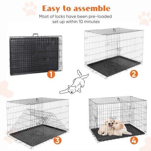 Sweetcrispy Large Dog Crate with Divider Panel, 36 Inch Double Door Folding Metal Wire Cage L276890