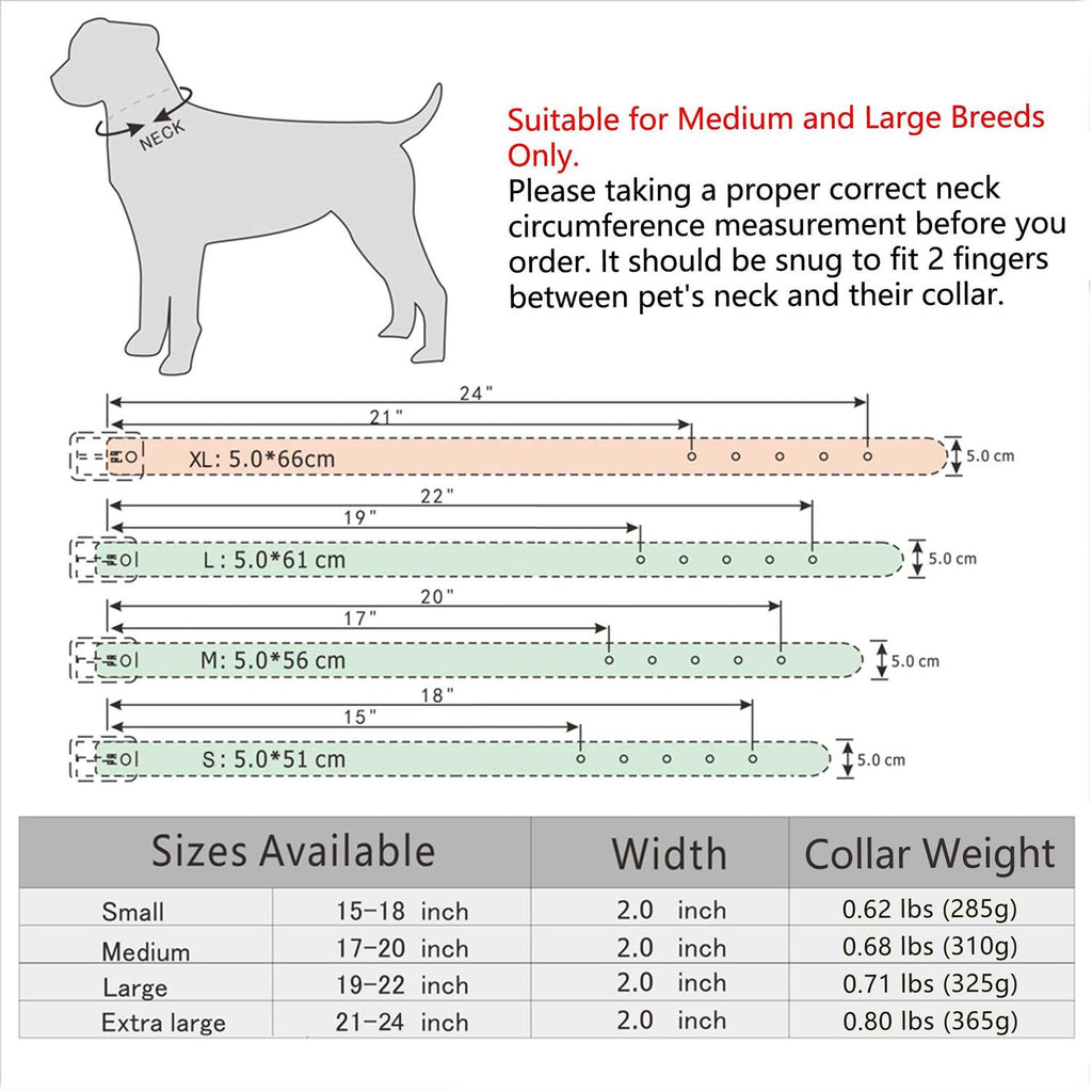 Berry Pet Sharp Spiked Studded Dog Collar 2 Inch Leather for Medium & Large Dogs U4154