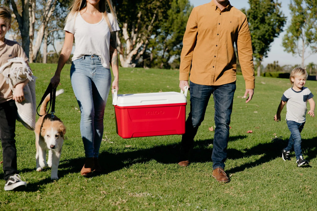 Igloo 48 QT Laguna Ice Chest Cooler Red C22452