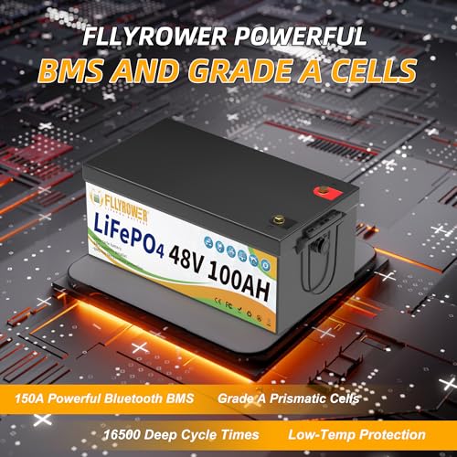 FLLYROWER 12V 100Ah LiFePO4 Battery with BMS for Marine RV Solar I833