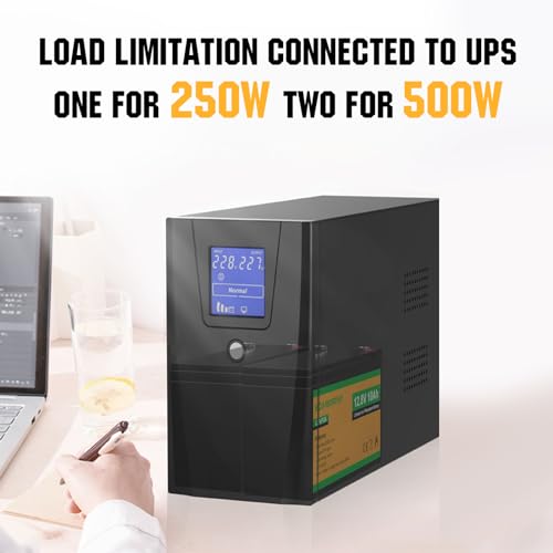 ECO-WORTHY 12V 10Ah LiFePO4 Deep Cycle Battery with Built-in BMS I227