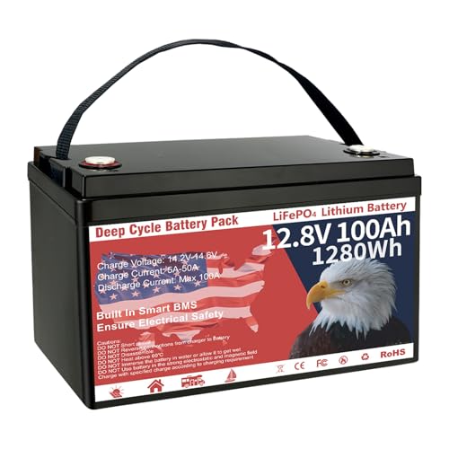 12V 100Ah LiFePO4 Lithium Battery Group 31 1280Wh Upgraded Low-Temp Protection LiFePO4 Battery, Built-in 100A Smart BMS, 8000+ Cycles Rechargeable Battery Waterproof for RVs, Golf Cart, Home