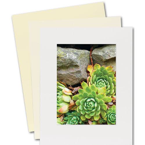 Lineco Cotton Rag Museum Mounting Boards, White X337404