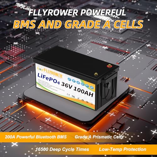 FLLYROWER 12V 100Ah LiFePO4 Battery with BMS for Marine RV Solar I833