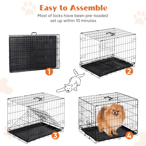 Sweetcrispy Large Dog Crate with Divider Panel, 36 Inch Double Door Folding Metal Wire Cage L276890