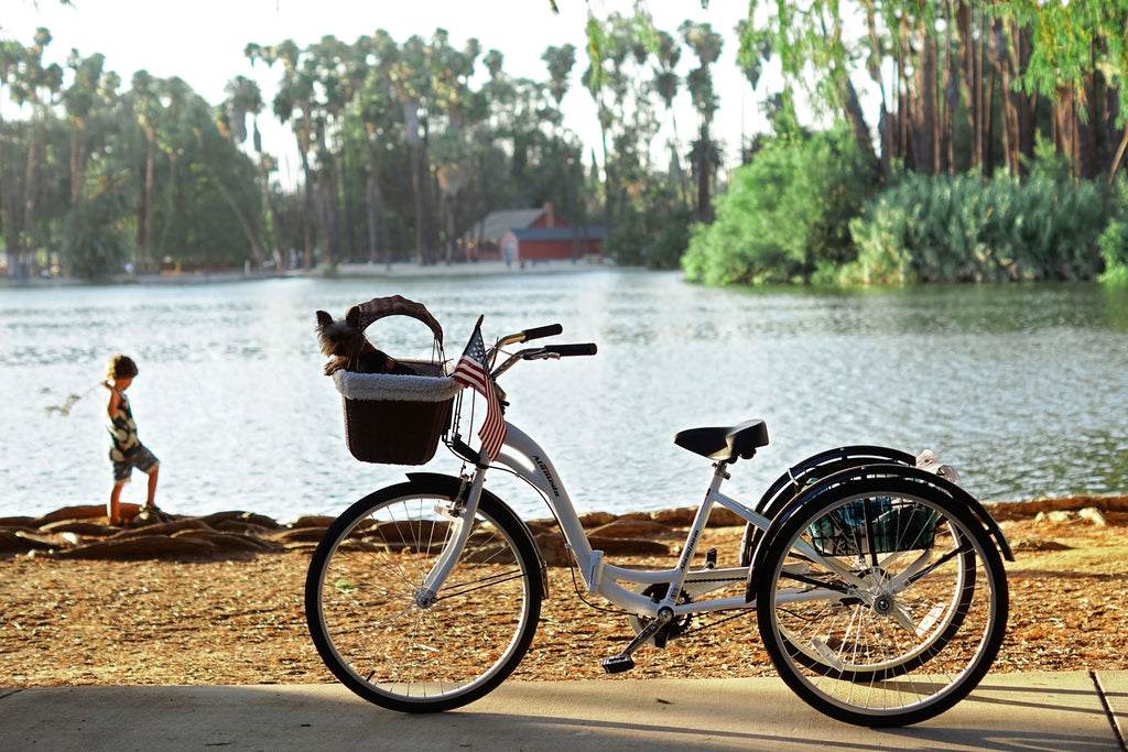 Kent 26 Alameda Folding Adult Trike, Blue P3671