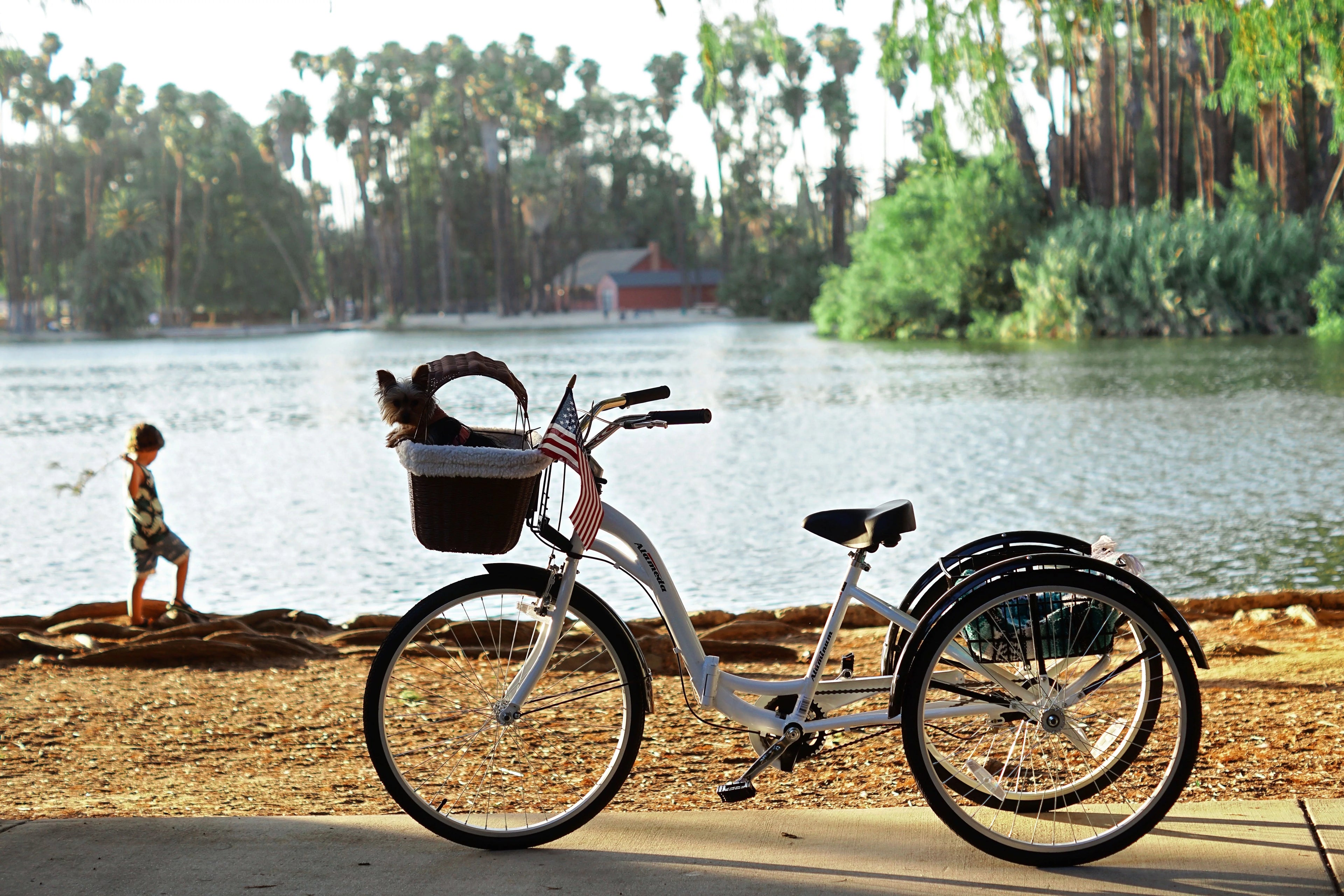 Kent 26 Alameda Folding Adult Trike, Blue P3671