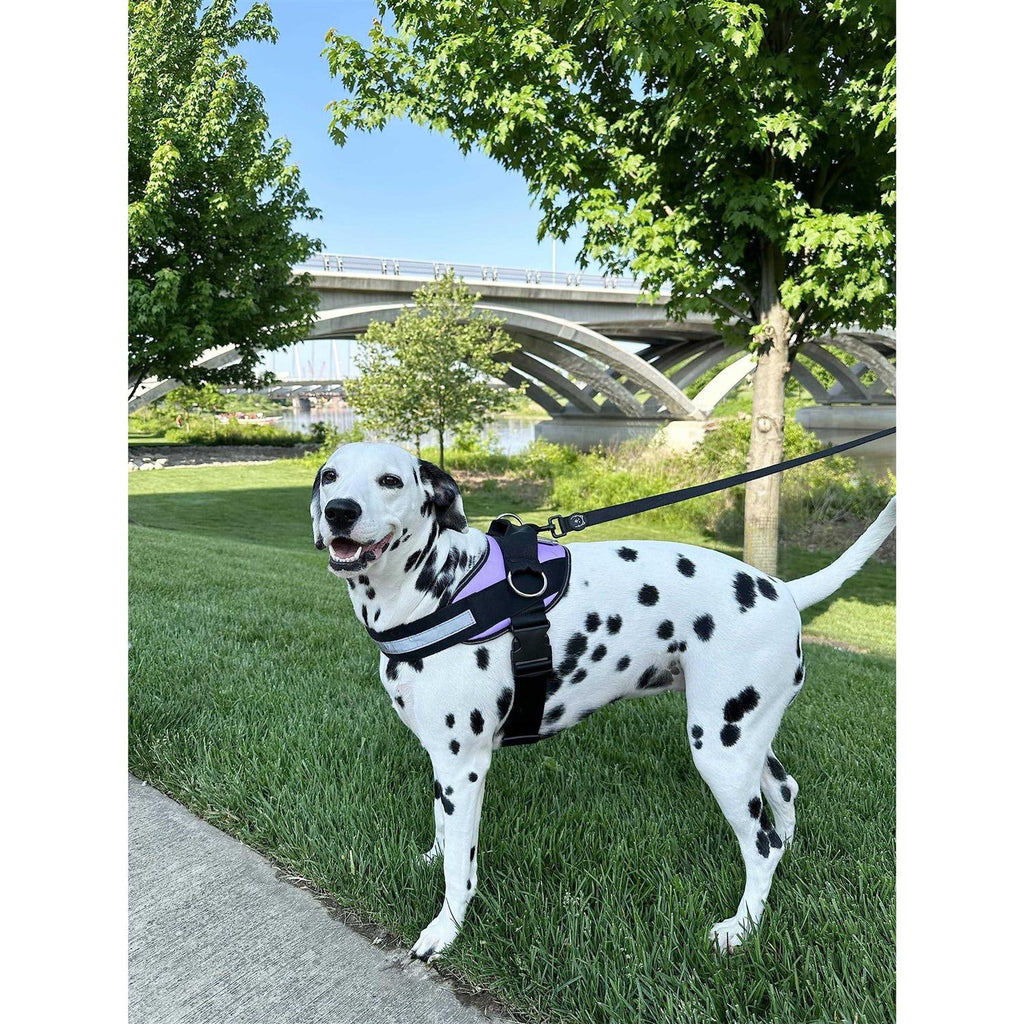 ShawnCo Essential Dog Harness, No-Pull Reflective Pet Vest O9205
