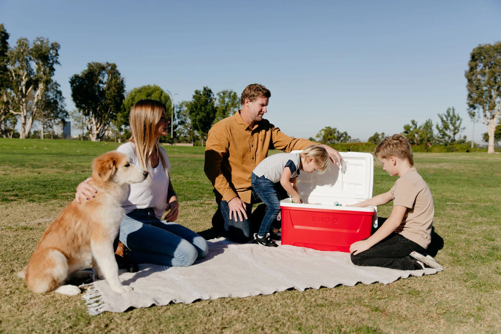 Igloo 48 QT Laguna Ice Chest Cooler Red P3169