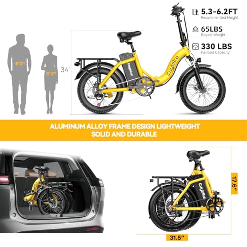 Folding Electric Bike 1000W 48V 20AH Removable Battery 20" Fat Tire for Adults C847123