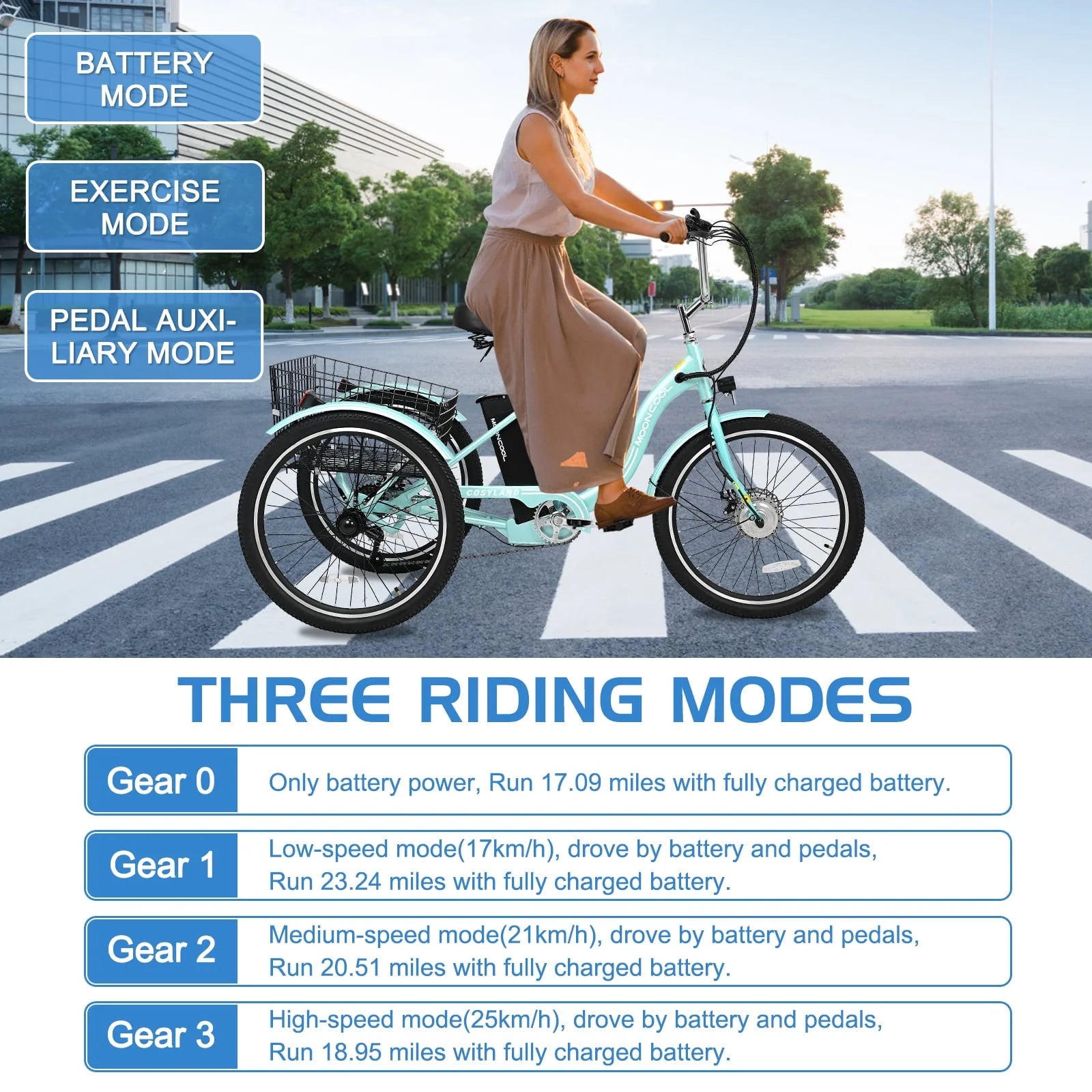 Lilypelle Adult Electric Tricycle 3-Wheel Bike for Seniors E1378