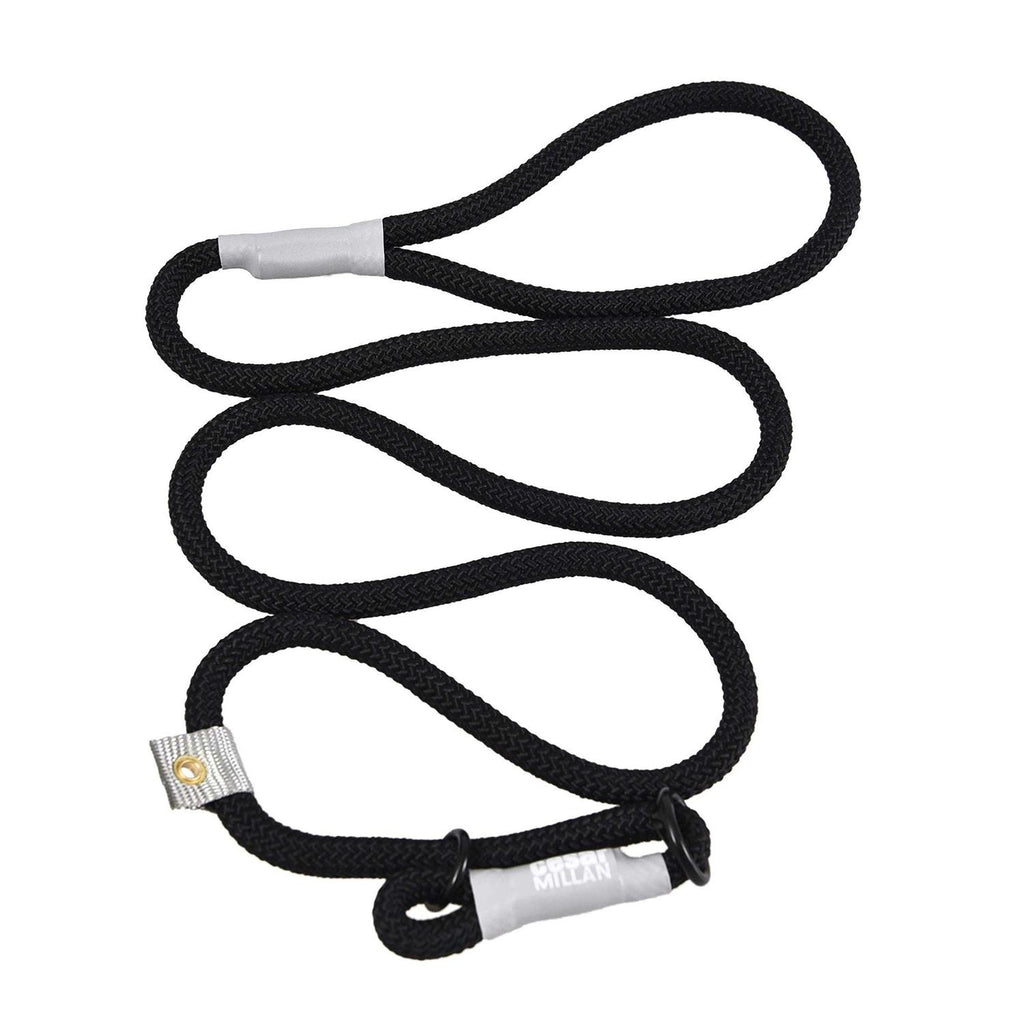 Cesar Millan 2-in-1 Slip Lead Dog Training Leash A889639