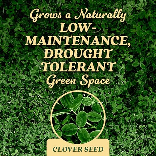 Scotts Tall Fescue Blend Grass Seed with Fertilizer and Soil Improver, 8 lbs A926