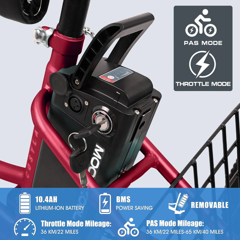 Lilypelle Adult Electric Tricycle 3-Wheel Bike for Seniors E1378