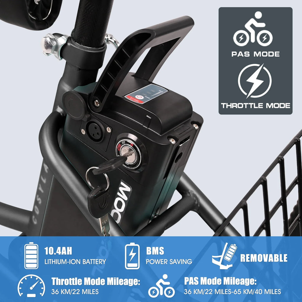 Lilypelle Adult Electric Tricycle 3-Wheel Bike for Seniors E1378
