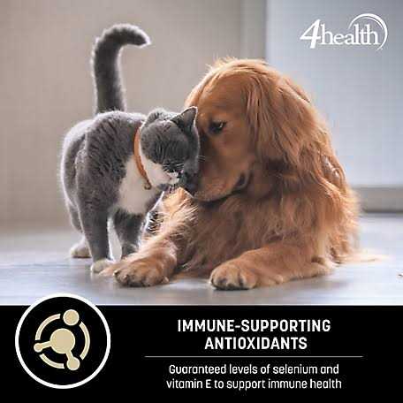 4health Adult Chicken and Rice Formula Dry Dog Food P36151
