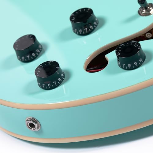 Redid Semi-Hollow Body Electric Guitar RD-100 with F-Hole, Maple Neck, Humbucker Pickups G2932