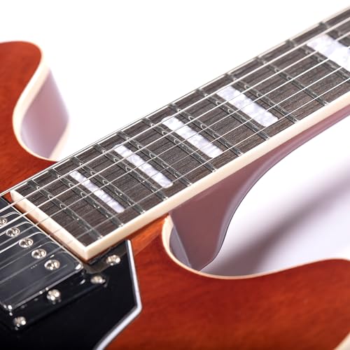 Redid Semi-Hollow Body Electric Guitar RD-100 with F-Hole, Maple Neck, Humbucker Pickups G2932