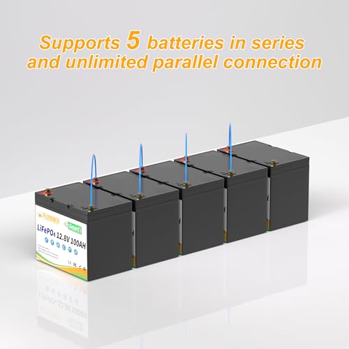 FLLYROWER 12V 100Ah LiFePO4 Battery with BMS for Marine RV Solar I833