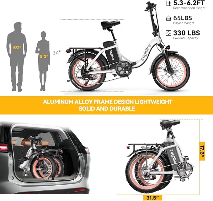 Folding Electric Bike 1000W 48V 20AH Removable Battery 20" Fat Tire for Adults C847123