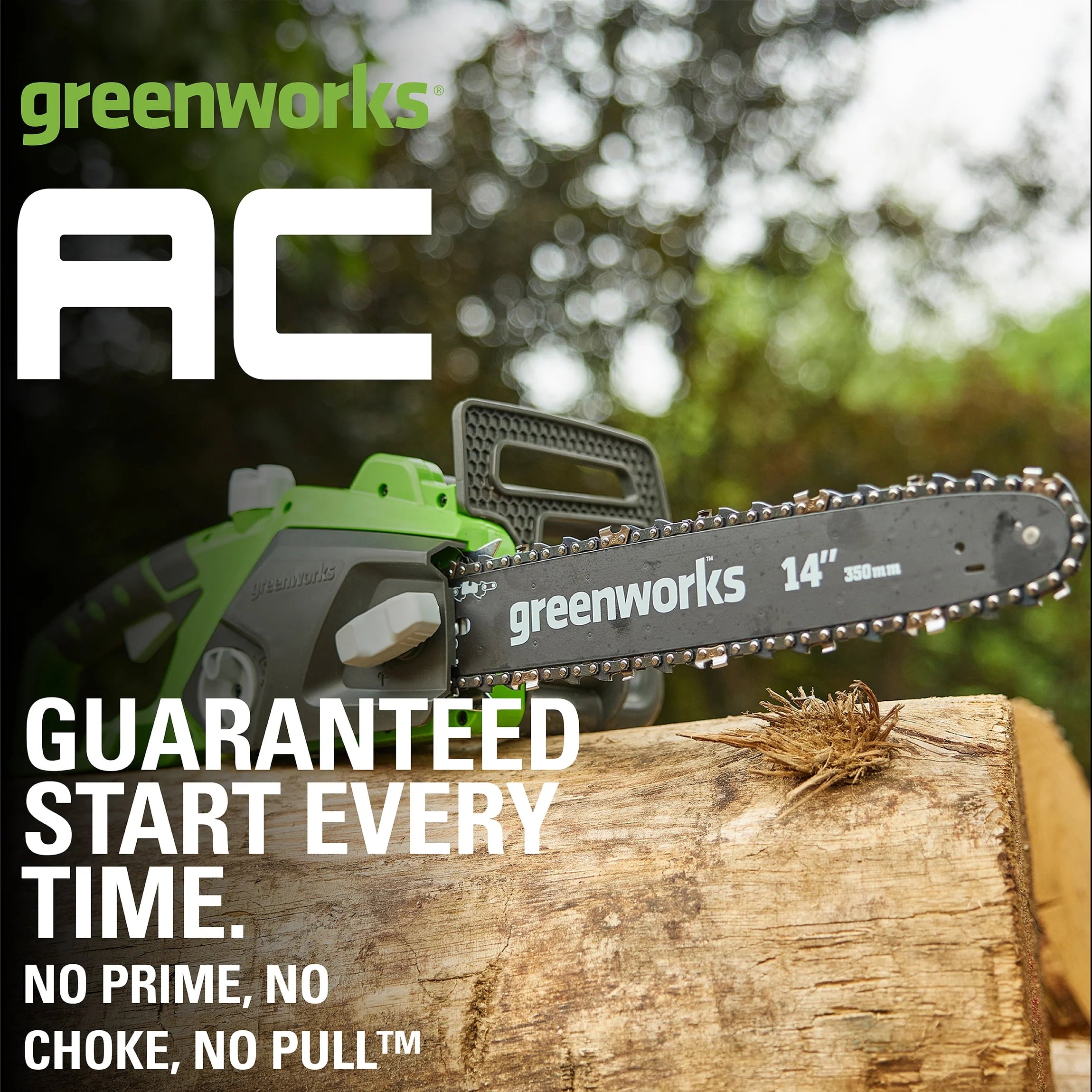 Greenworks 14 Corded Electric 10.5 Amp Chainsaw Z9273