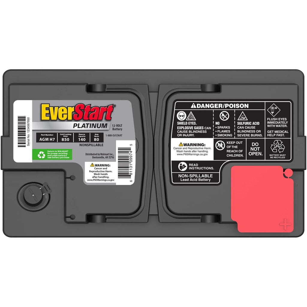 EverStart Platinum AGM Automotive Battery Group Size H7 12V 800 CCA R80444