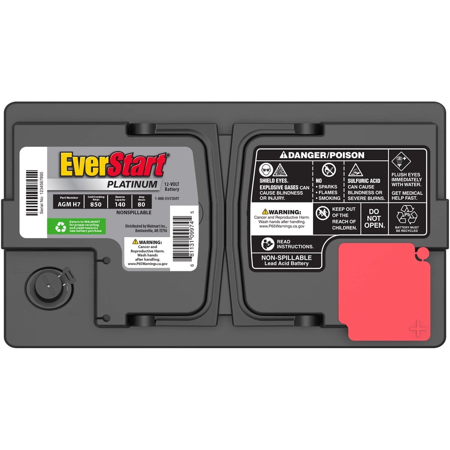 EverStart Platinum AGM Automotive Battery Group Size H7 12V 800 CCA R80444