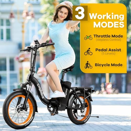 Folding Electric Bike 1000W 48V 20AH Removable Battery 20" Fat Tire for Adults C847123
