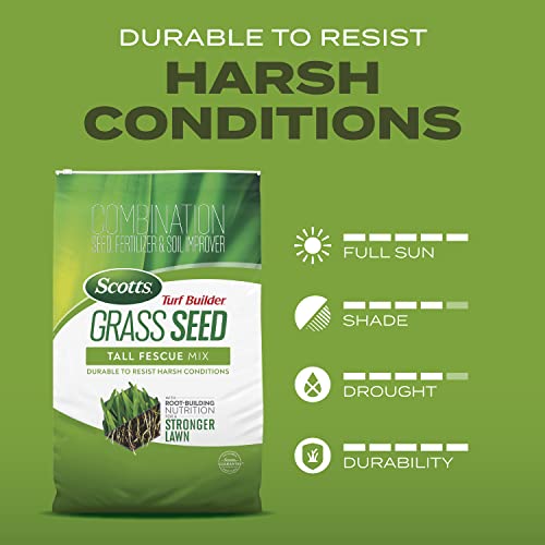 Scotts Turf Builder Tall Fescue Grass Seed Mix with Fertilizer, 5.6 lbs Z3696