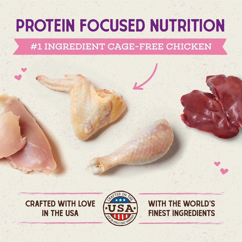 Stella & Chewy’s Raw Coated Cage-Free Chicken Kitten Dry Cat Food J23619