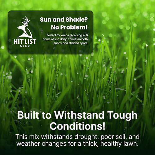 Sun and Shade Tall Fescue Grass Seed Mix, Drought Resistant X46056