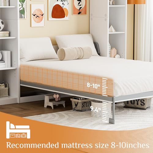 Queen Murphy Bed with Storage Bookcase & Adjustable Shelves, Foldable Wall Bedframe, White U7258