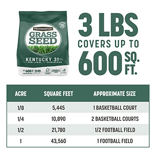 Pennington Kentucky 31 Tall Fescue Penkoted Grass Seed 40 lbs V4063