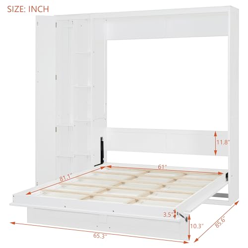 Harper & Bright Designs Queen Murphy Bed with Storage Shelves and LED Lights, Gray D9429