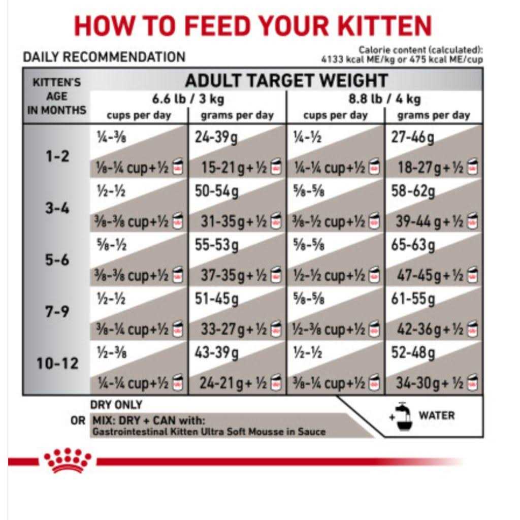 Royal Canin Veterinary Diet Feline Gastrointestinal Kitten Dry Cat Food X7614