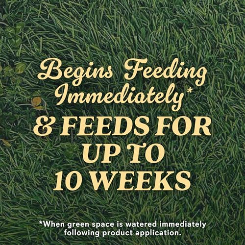 Scotts Tall Fescue Blend Grass Seed with Fertilizer and Soil Improver, 8 lbs A926