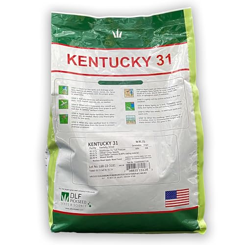 X-Seed Oregon Grown Kentucky 31 Tall Fescue Grass Seed for Sun and Shade, 5 lb Bag F733
