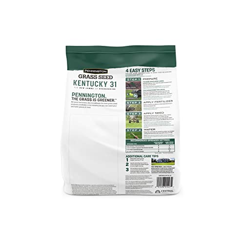 Pennington Kentucky 31 Tall Fescue Penkoted Grass Seed 40 lbs V4063
