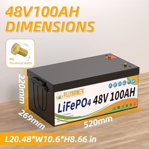 FLLYROWER 12V 100Ah LiFePO4 Battery with BMS for Marine RV Solar I833