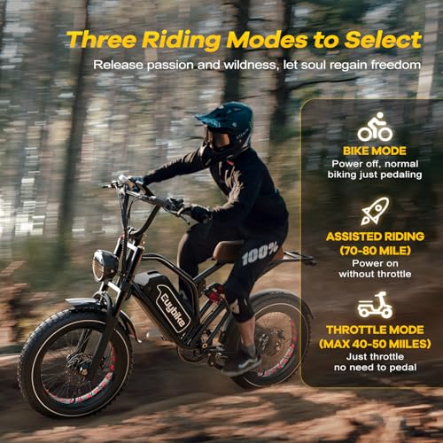 Electric Bike for Adults, 2000W Motor, 48V 25AH Battery, 20" Fat Tires S65549