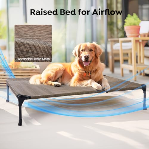 Veehoo Elevated Dog Bed with Removable Waterproof Bolster Cushion, Breathable Mesh, Indoor Outdoor, 42x30 inches, Beige U875430
